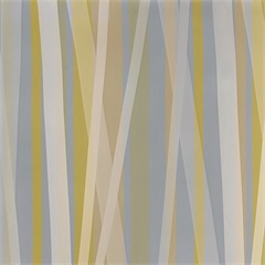 Streamers Big Sky